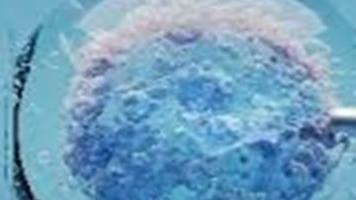 Jornada de Actualización: Unidad de medicina reproductiva HLS